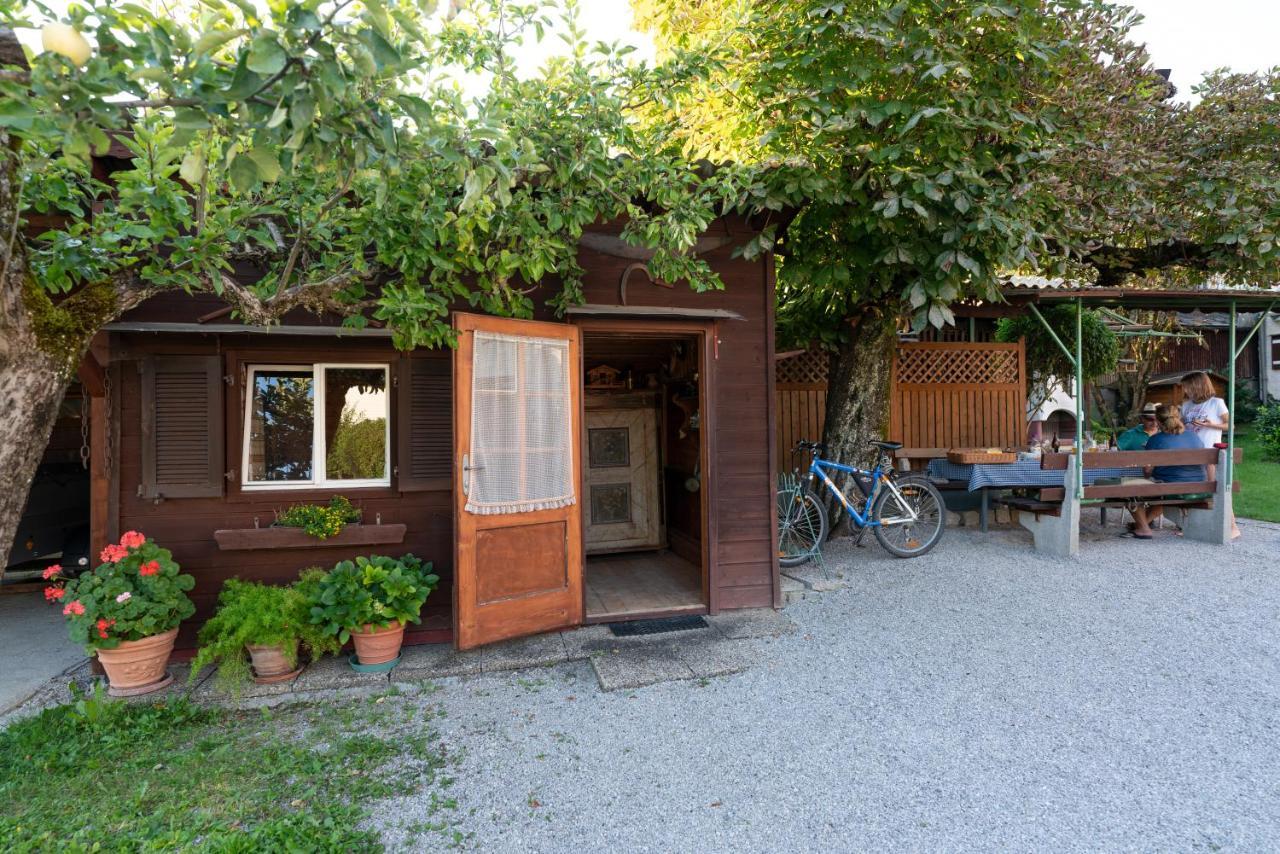 Ferienwohnungen Haus Unterberger 巴德伊舍 外观 照片